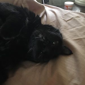 Meet your Posher, Theresa